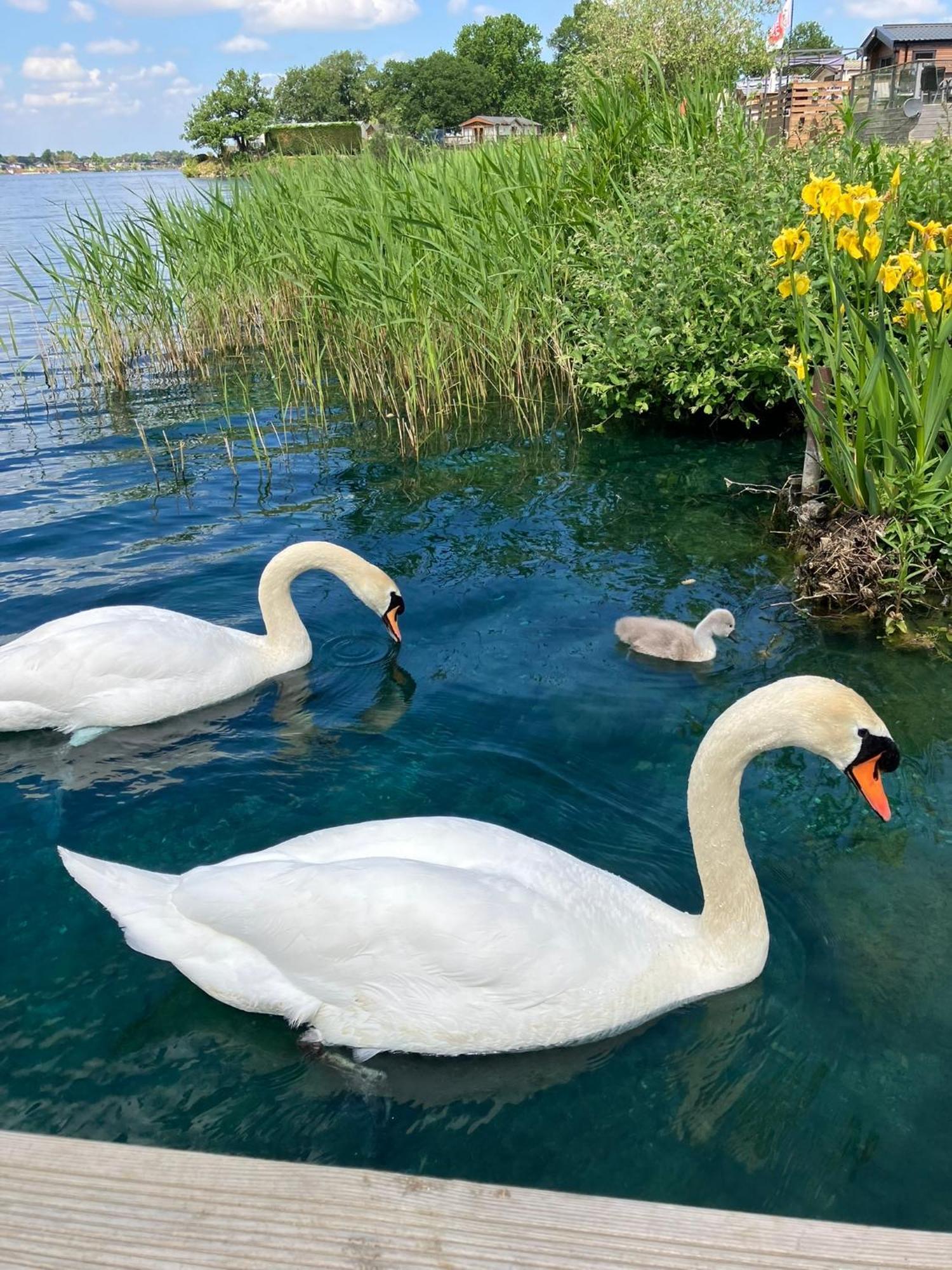 Award Winning Serenity With Outstanding Lakeside Views From The Hot Tub , At Lakes Leisure Park, Stamford Tallington
